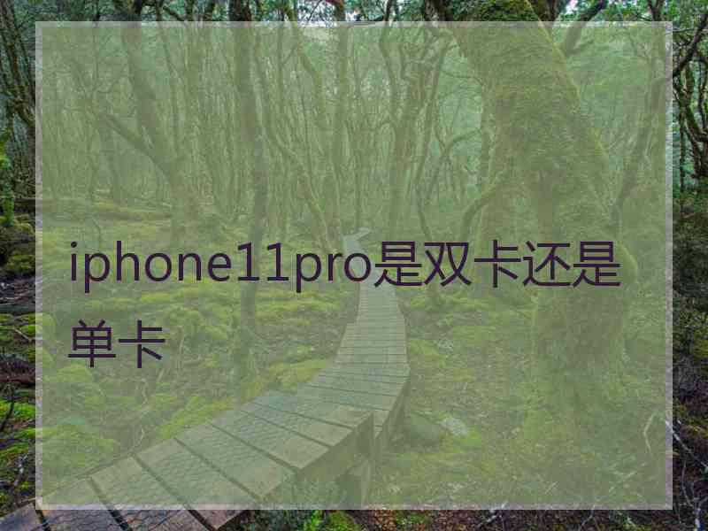 iphone11pro是双卡还是单卡