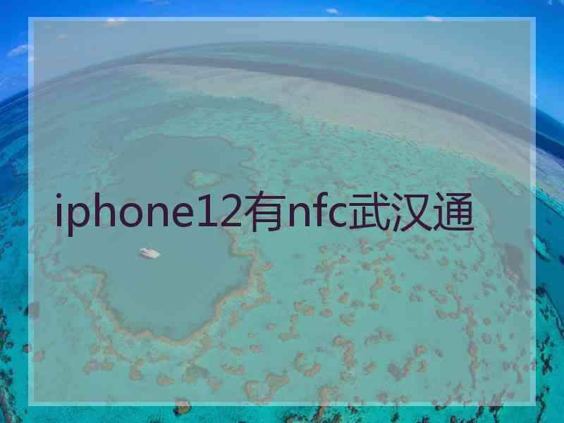 iphone12有nfc武汉通