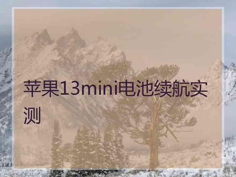 苹果13mini电池续航实测