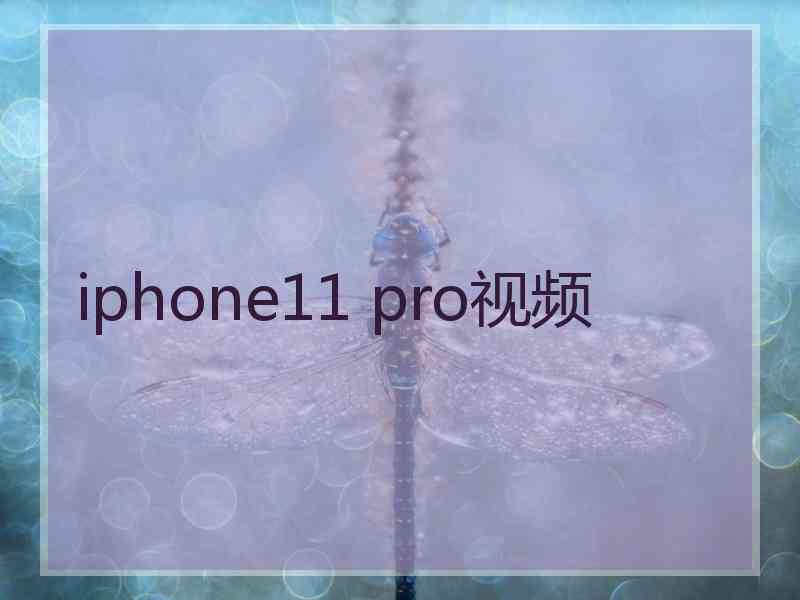 iphone11 pro视频