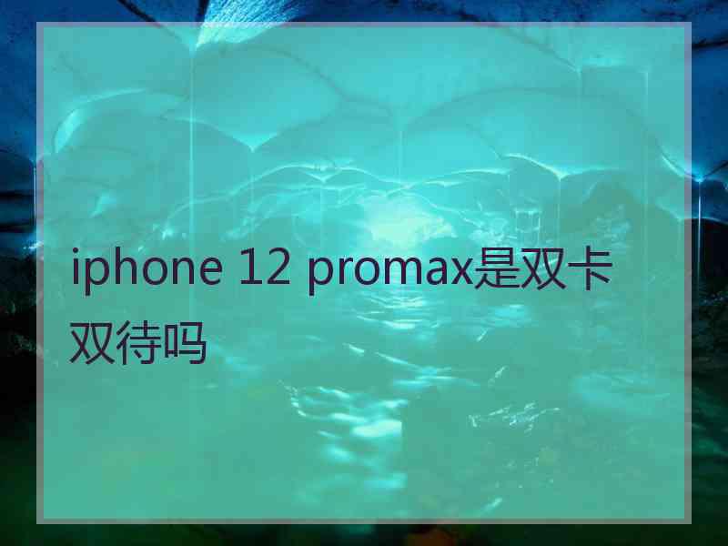 iphone 12 promax是双卡双待吗