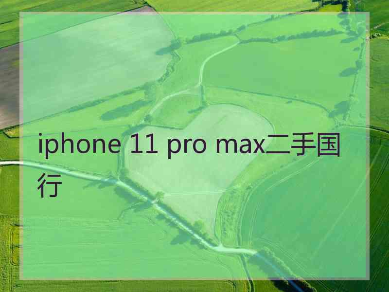 iphone 11 pro max二手国行