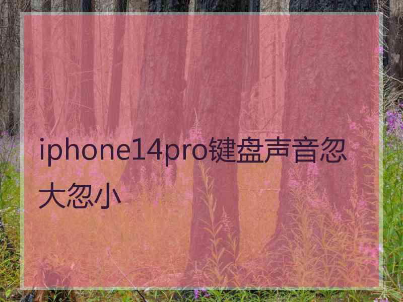 iphone14pro键盘声音忽大忽小