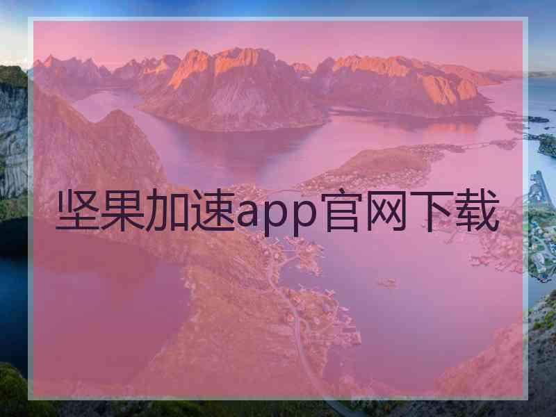 坚果加速app官网下载