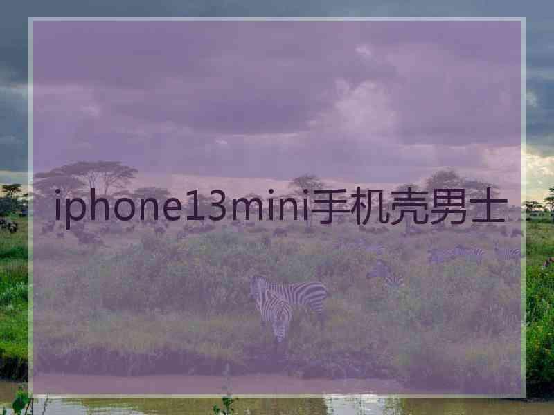 iphone13mini手机壳男士