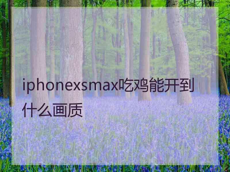 iphonexsmax吃鸡能开到什么画质