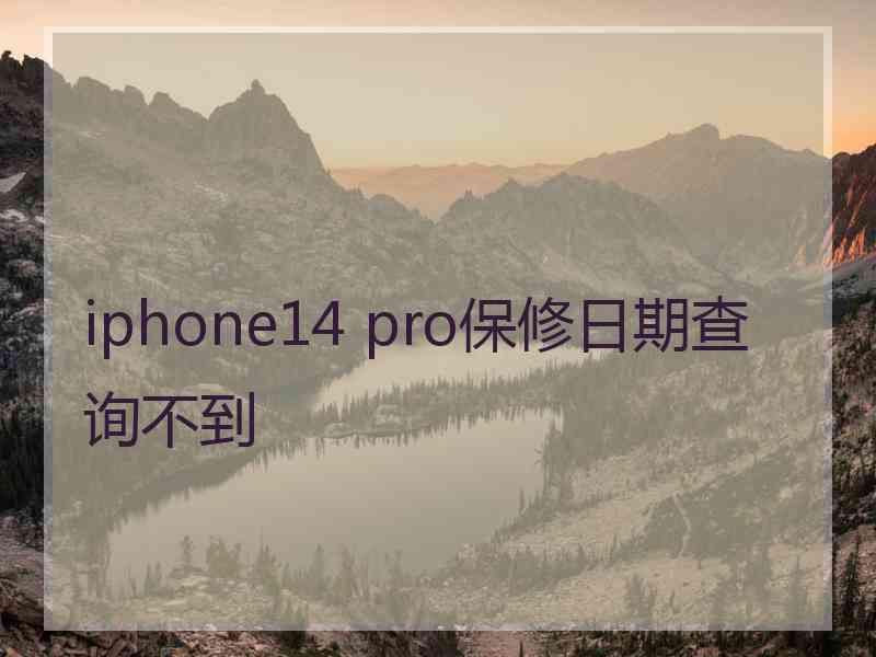 iphone14 pro保修日期查询不到