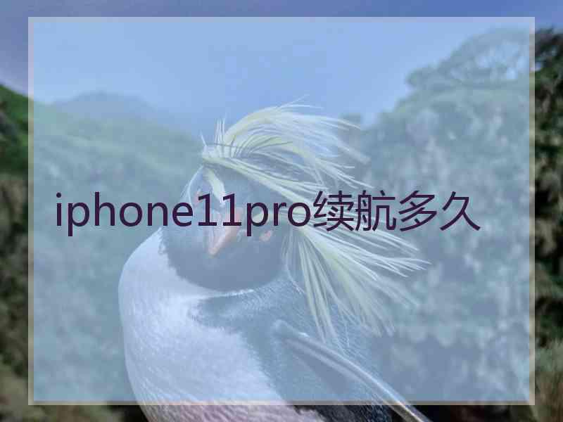 iphone11pro续航多久