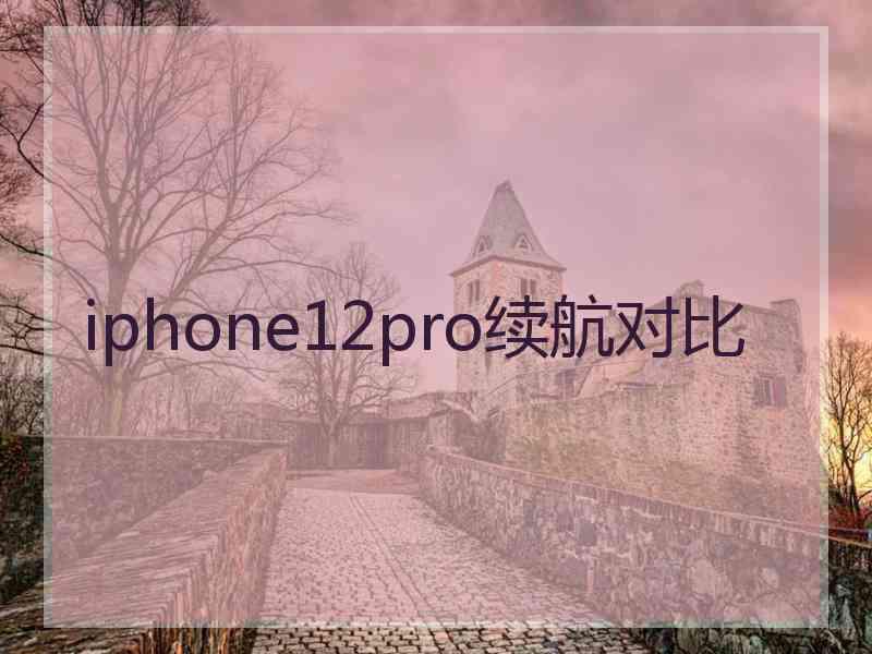 iphone12pro续航对比