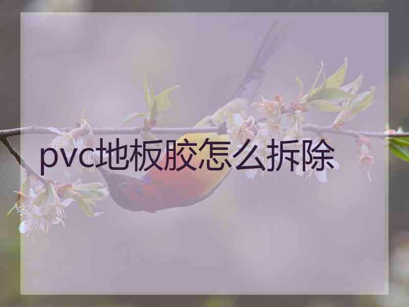 pvc地板胶怎么拆除