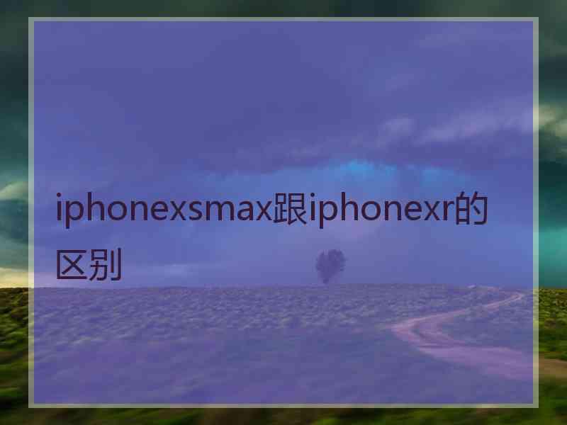 iphonexsmax跟iphonexr的区别