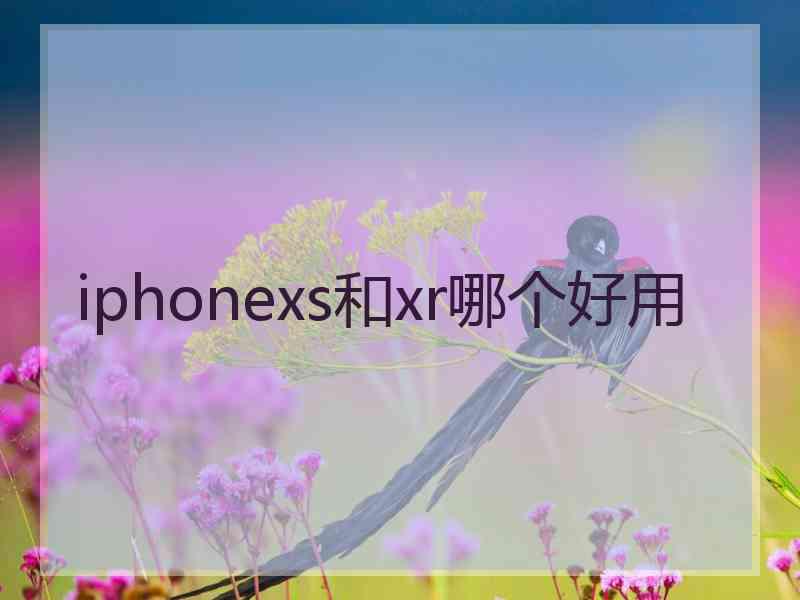 iphonexs和xr哪个好用