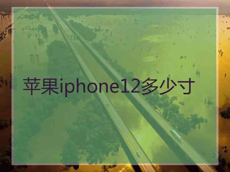 苹果iphone12多少寸