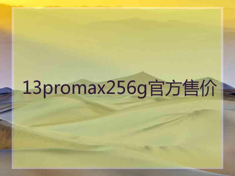 13promax256g官方售价