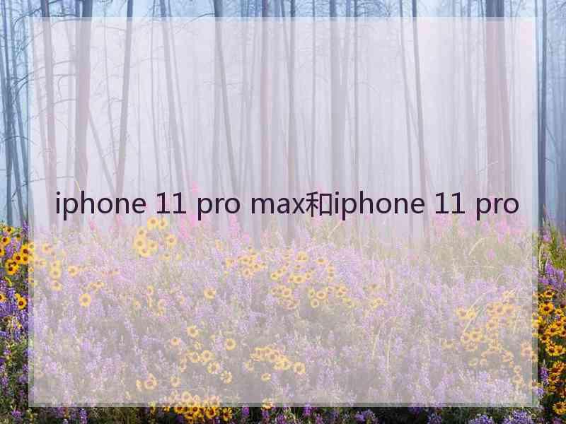 iphone 11 pro max和iphone 11 pro