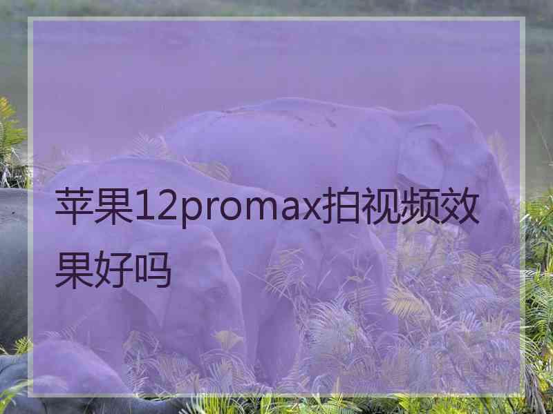 苹果12promax拍视频效果好吗