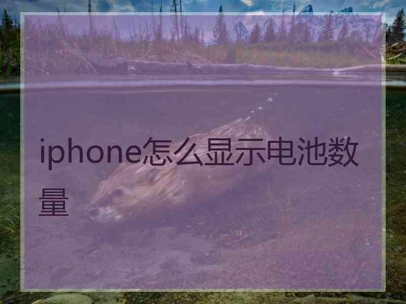 iphone怎么显示电池数量