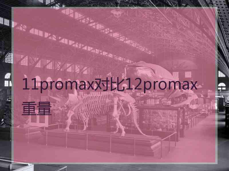 11promax对比12promax重量