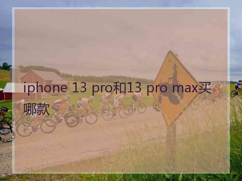 iphone 13 pro和13 pro max买哪款