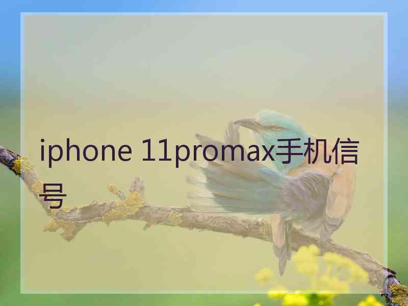 iphone 11promax手机信号