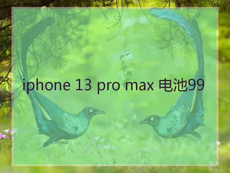 iphone 13 pro max 电池99