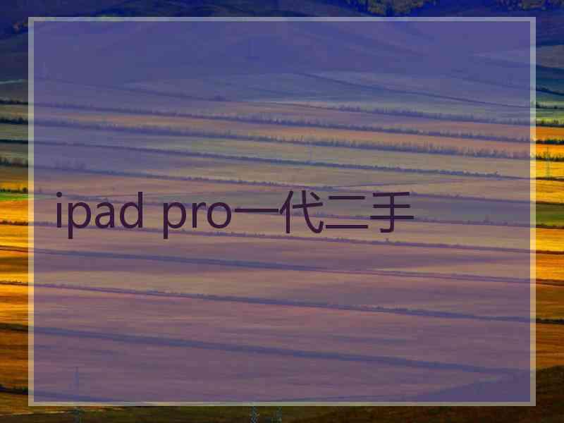 ipad pro一代二手