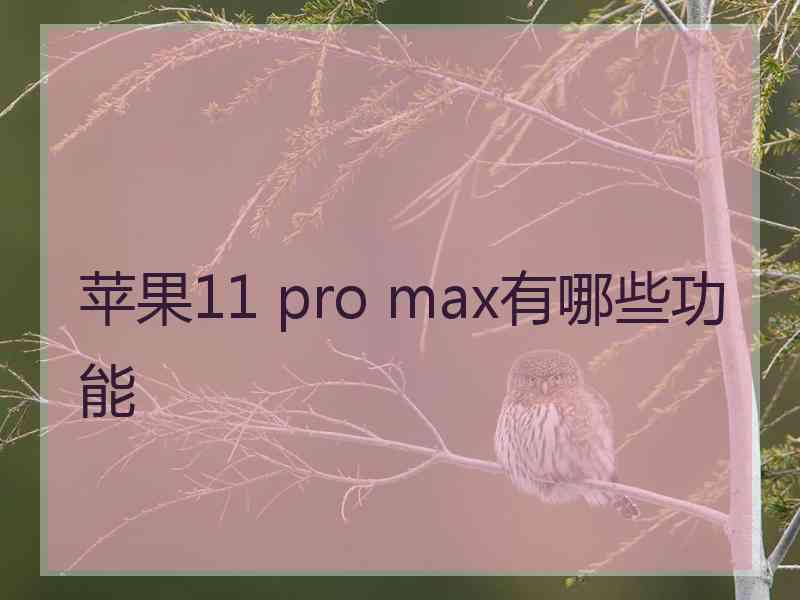 苹果11 pro max有哪些功能