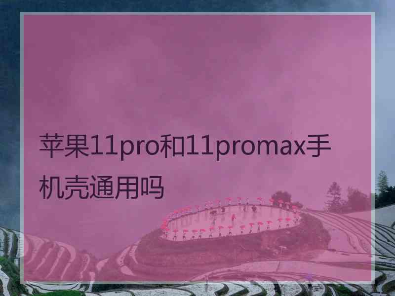 苹果11pro和11promax手机壳通用吗