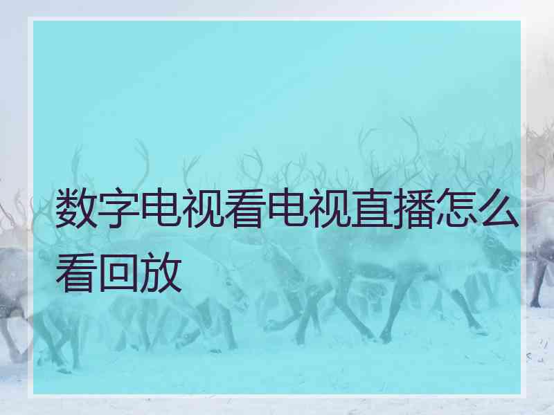 数字电视看电视直播怎么看回放