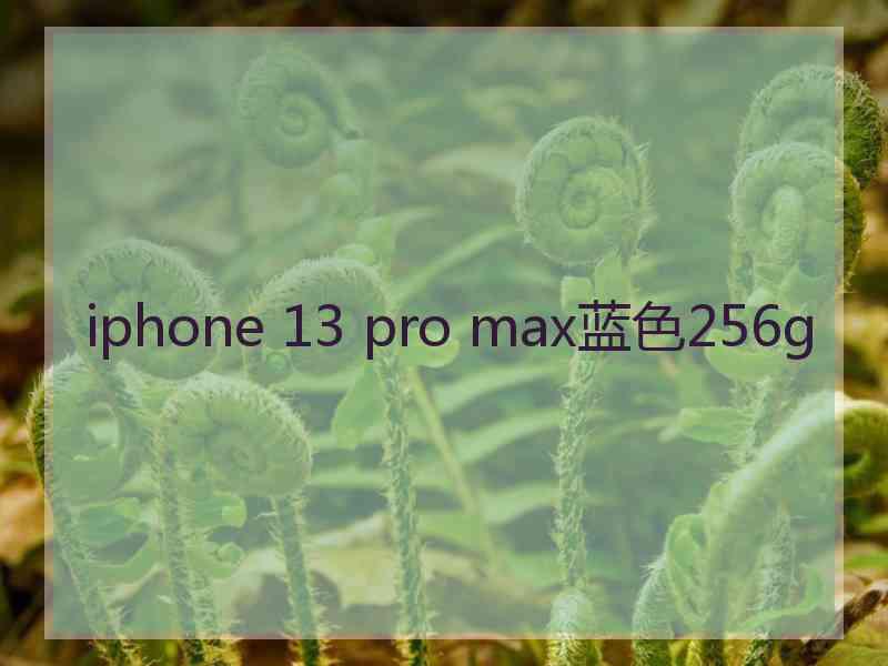 iphone 13 pro max蓝色256g