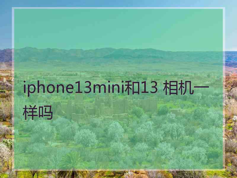 iphone13mini和13 相机一样吗