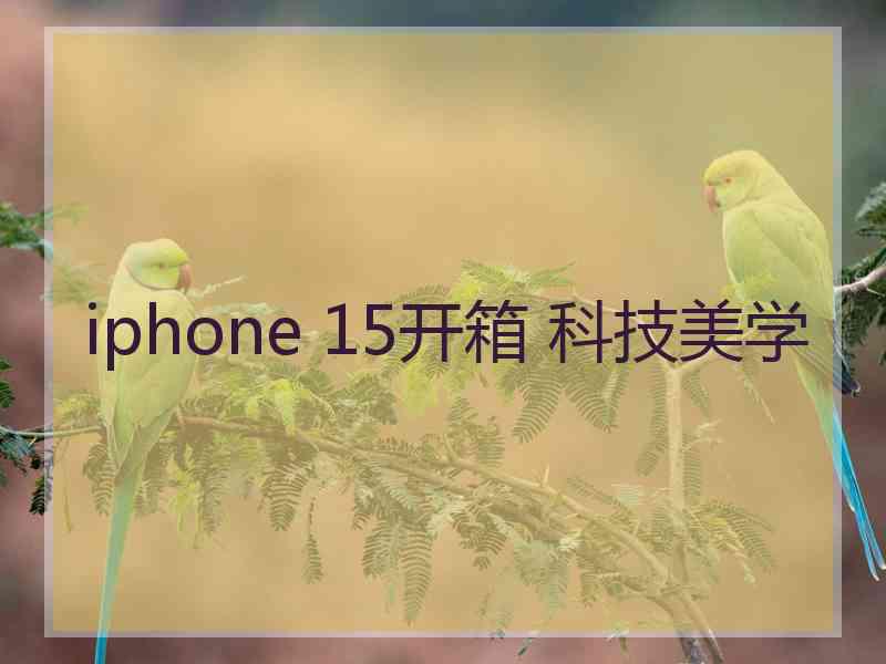 iphone 15开箱 科技美学