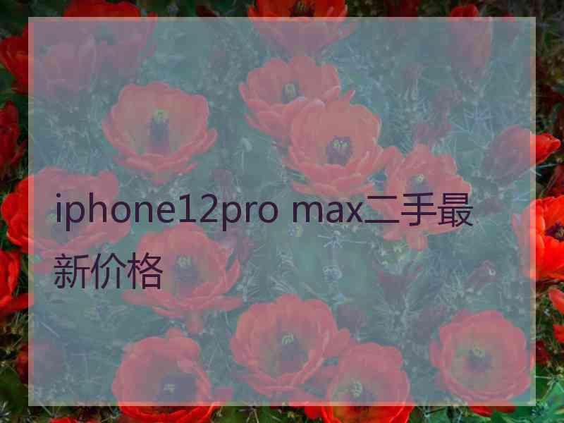 iphone12pro max二手最新价格