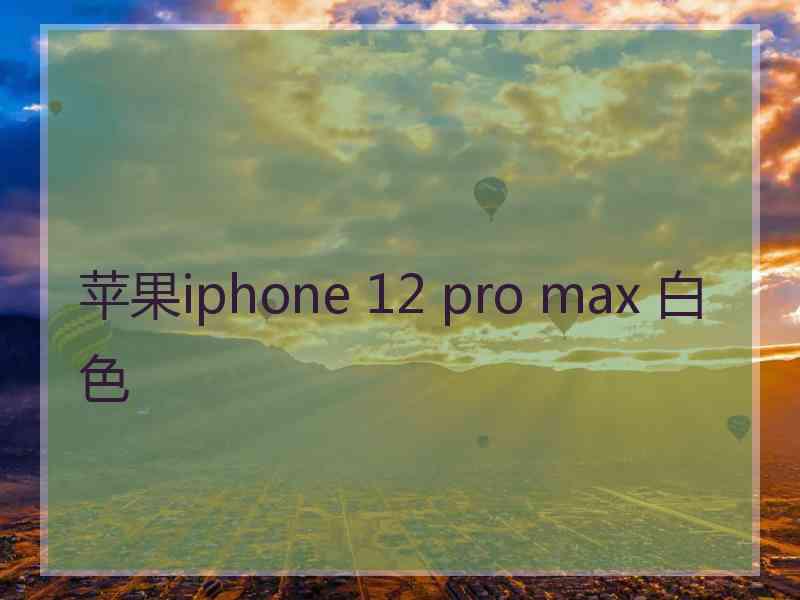 苹果iphone 12 pro max 白色