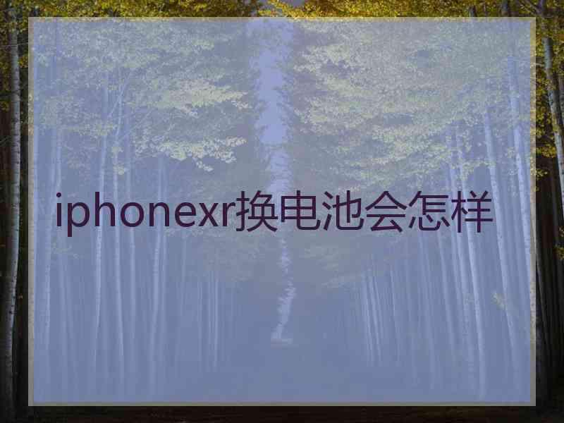 iphonexr换电池会怎样