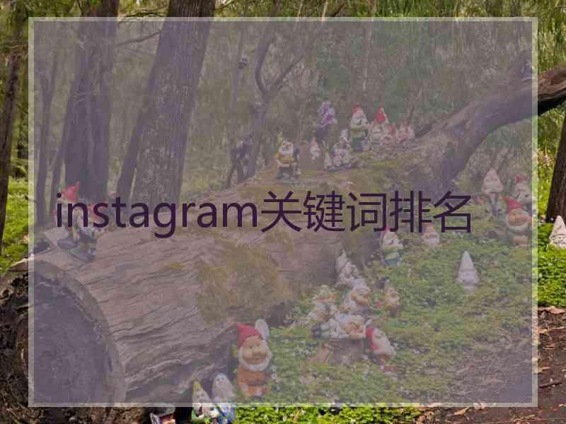 instagram关键词排名