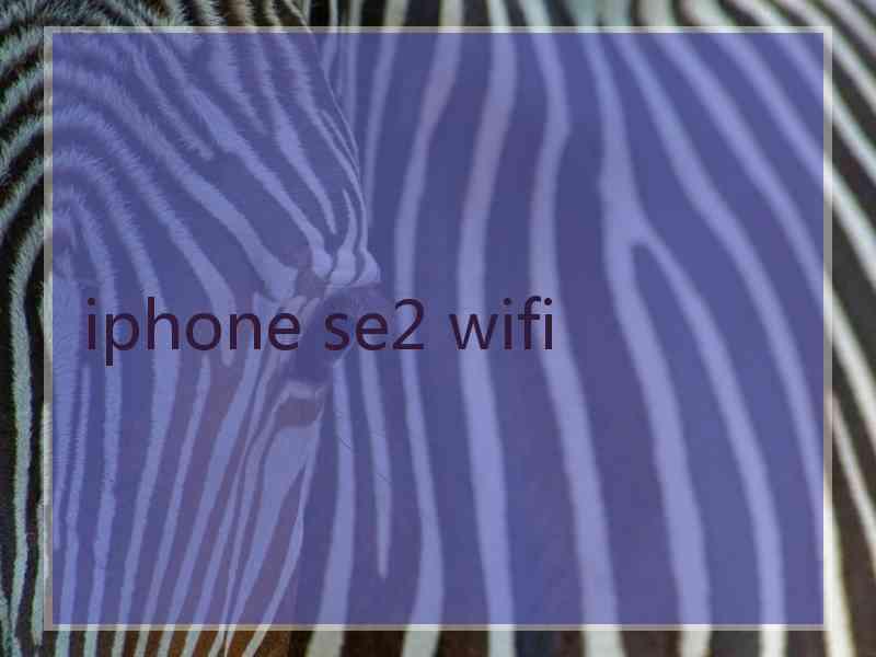 iphone se2 wifi