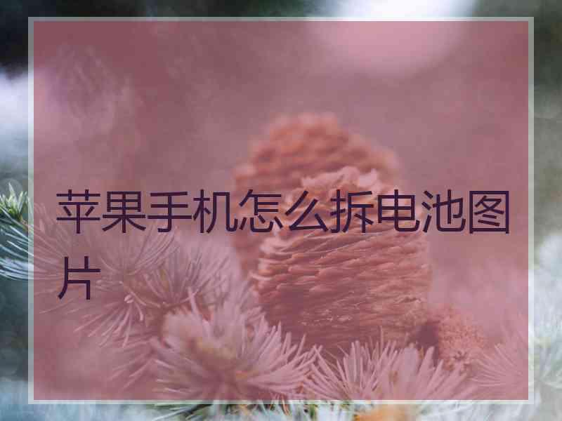 苹果手机怎么拆电池图片