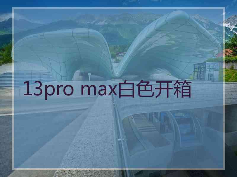 13pro max白色开箱