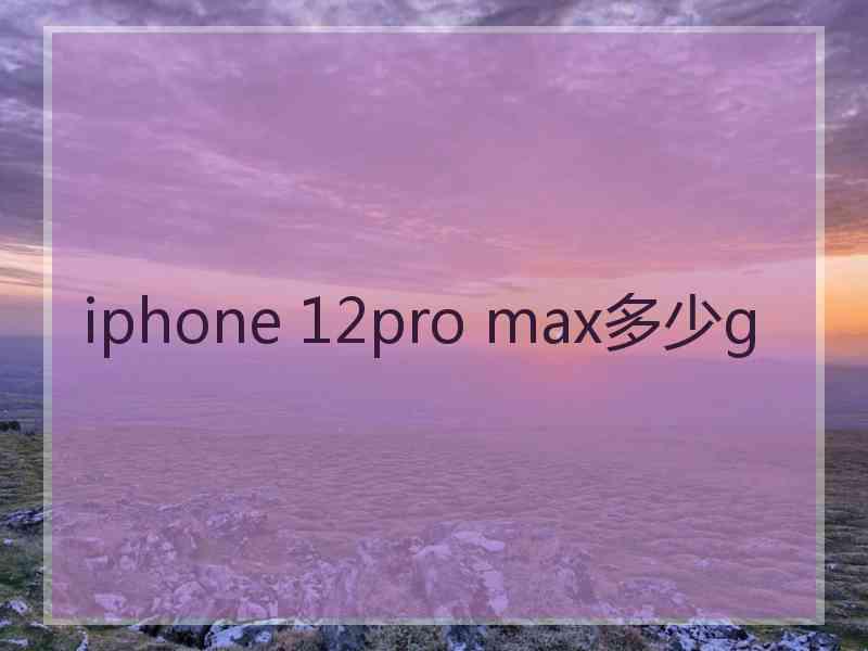 iphone 12pro max多少g