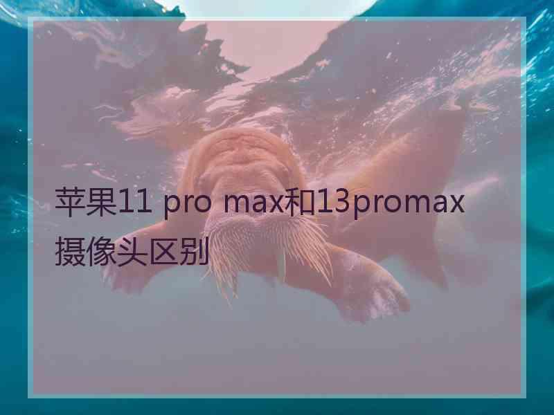 苹果11 pro max和13promax摄像头区别