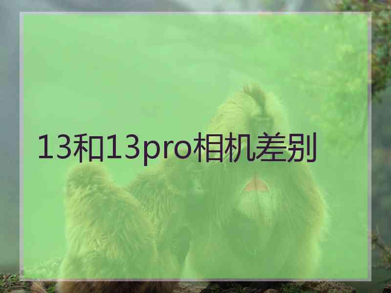 13和13pro相机差别