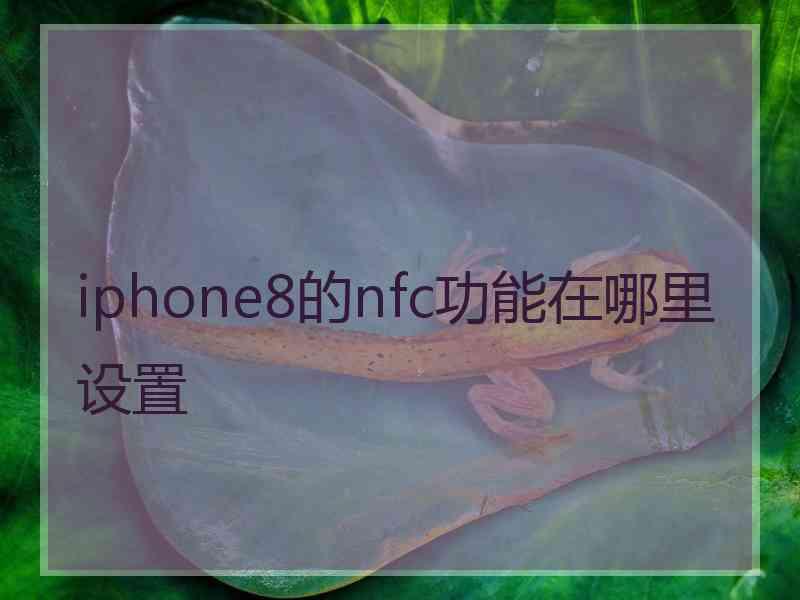 iphone8的nfc功能在哪里设置