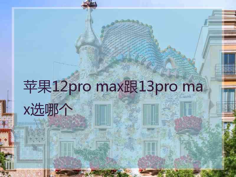 苹果12pro max跟13pro max选哪个