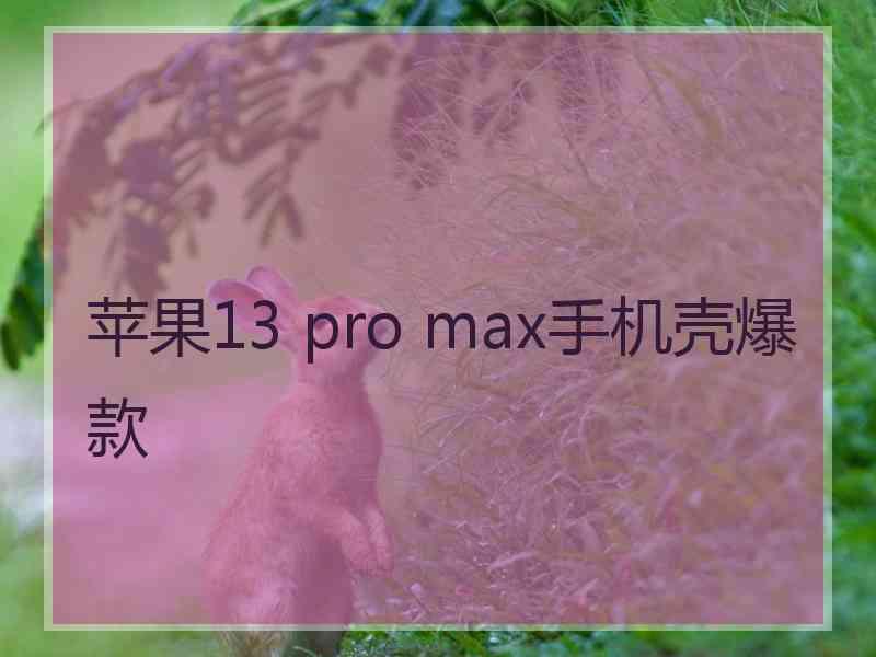 苹果13 pro max手机壳爆款