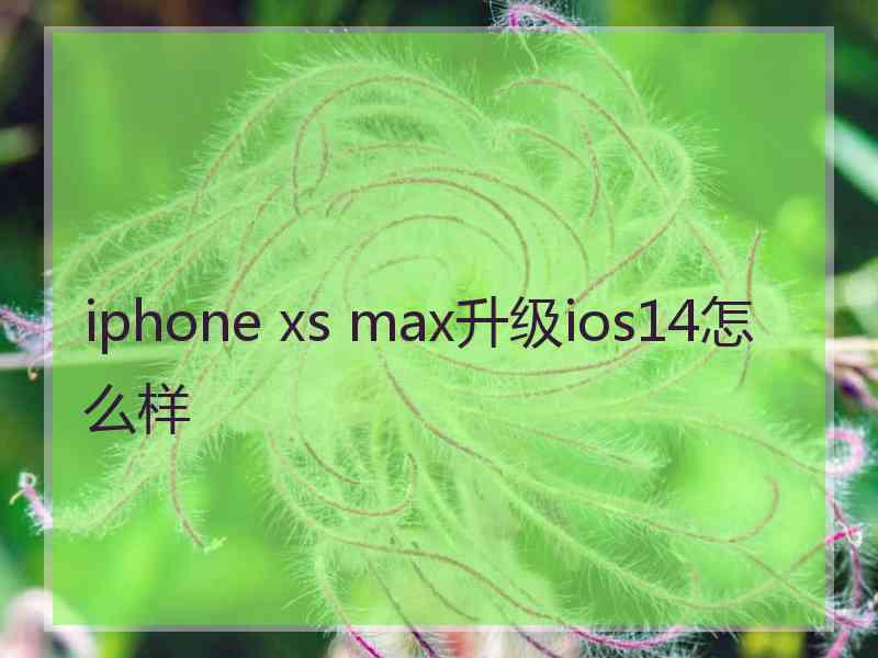 iphone xs max升级ios14怎么样