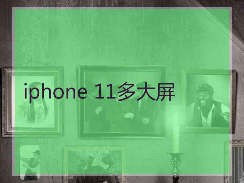 iphone 11多大屏