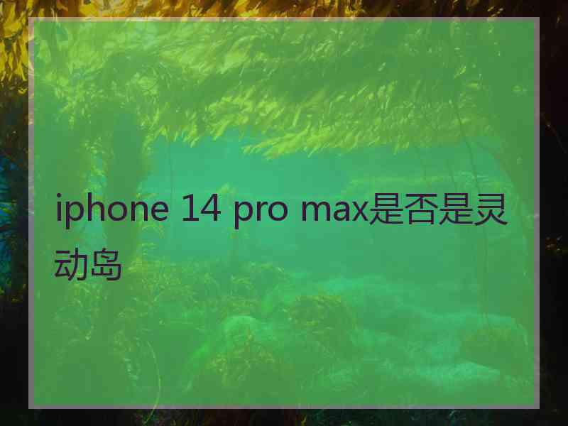 iphone 14 pro max是否是灵动岛