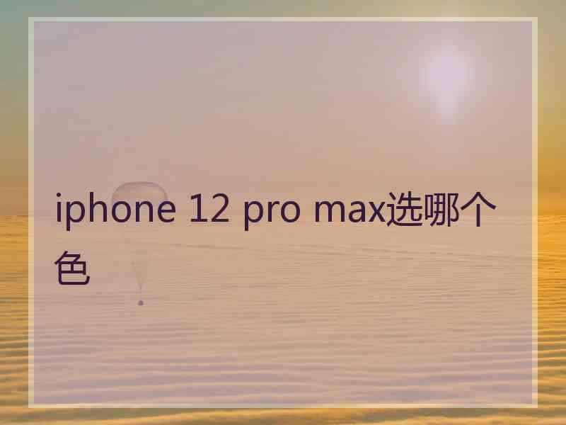 iphone 12 pro max选哪个色