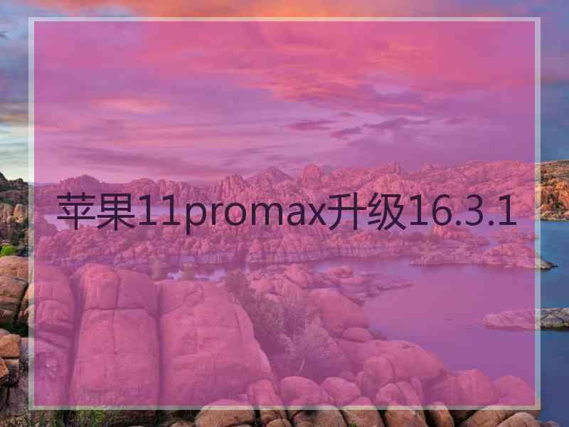 苹果11promax升级16.3.1